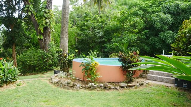 Caribbean Oasis